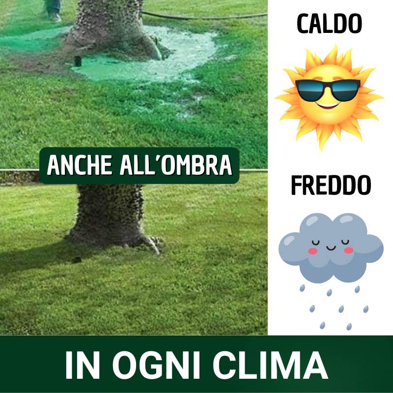 idrosemina_05